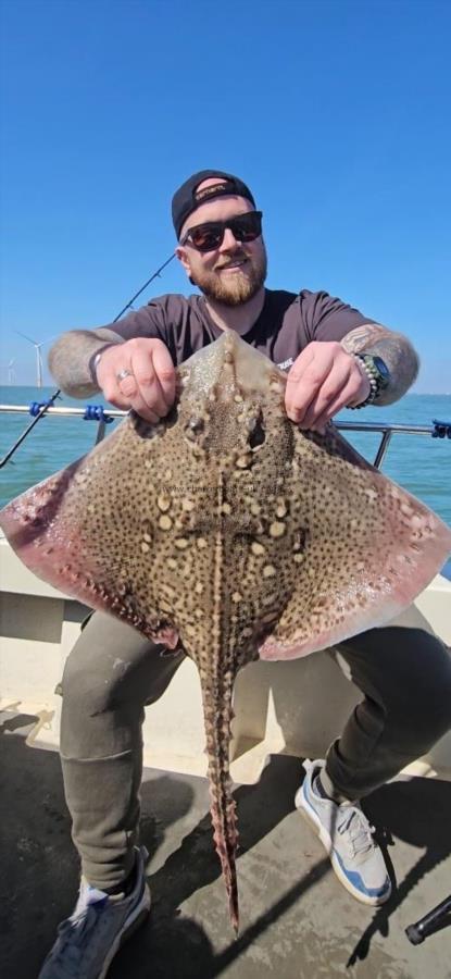 12 lb 2 oz Thornback Ray by Tom