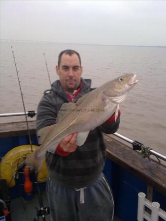 6 lb 12 oz Cod by Unknown