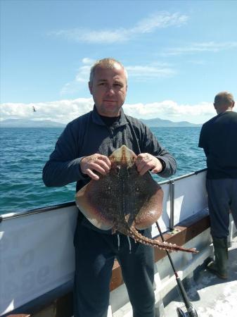 6 lb 5 oz Thornback Ray by Unknown