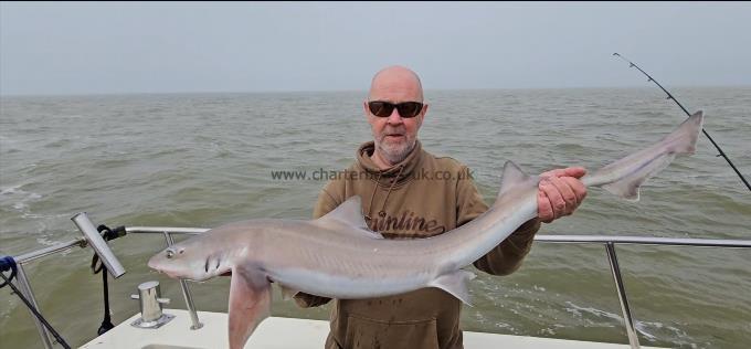 13 lb 2 oz Smooth-hound by Gary