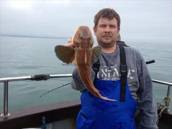 3 lb 4 oz Tub Gurnard by Robb M