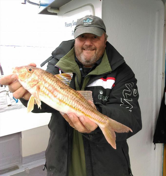 1 lb 5 oz Red Mullet by Darren Phillips