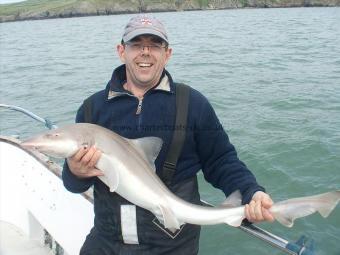 17 lb 2 oz Starry Smooth-hound by Davy Holt