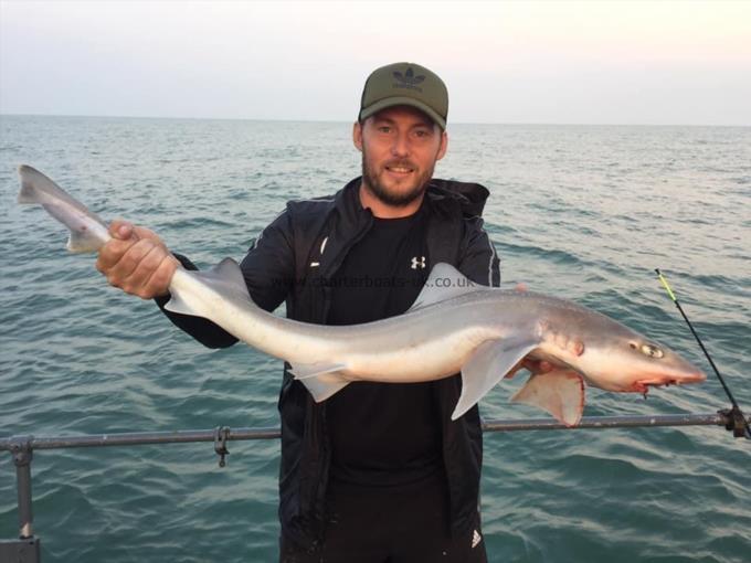 9 lb Starry Smooth-hound by Unknown