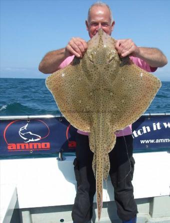 15 lb Blonde Ray by Robin Amor