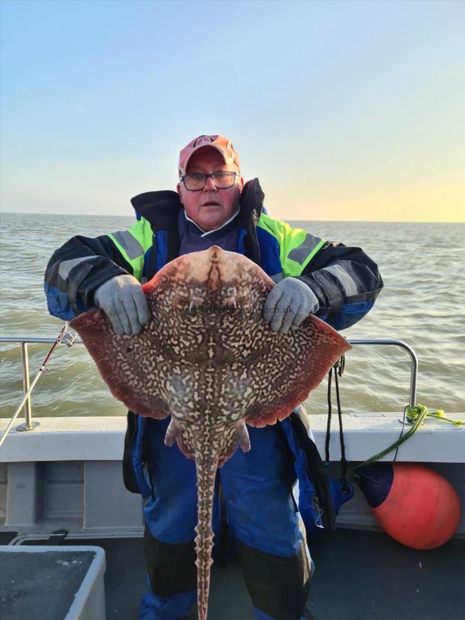 11 lb 4 oz Thornback Ray by Brian