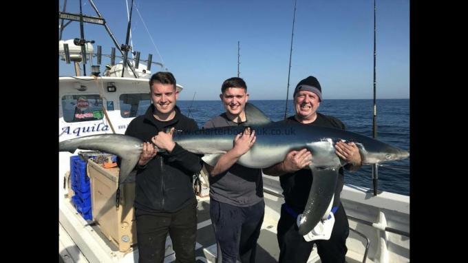 116 lb Blue Shark by Unknown