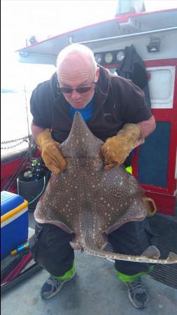 17 lb Common Skate by ian