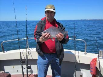 2 lb 6 oz Black Sea Bream by Stephen Wake