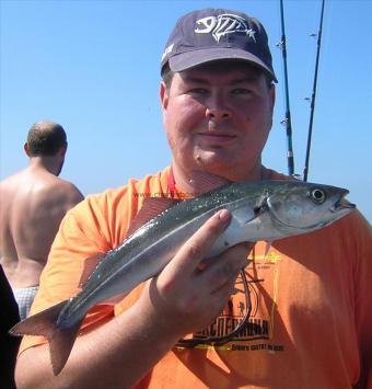 2 lb Coalfish (Coley/Saithe) by Bob