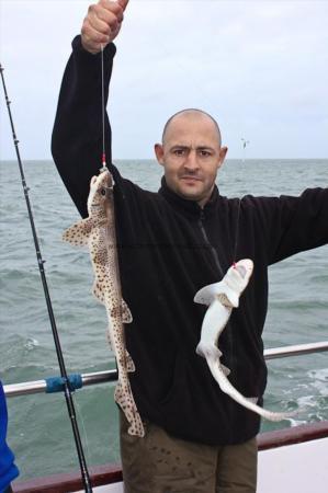 2 lb Lesser Spotted Dogfish by John