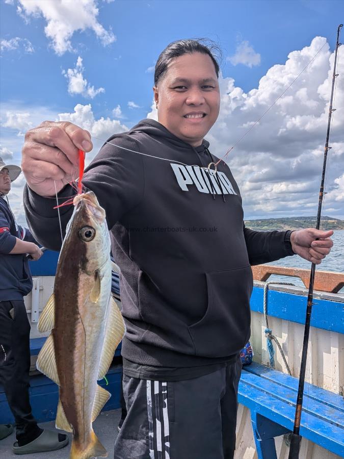 2 lb 8 oz Pollock by Unknown