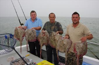 10 lb Thornback Ray by Sat 6th Sept 2014