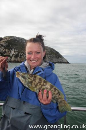 2 lb Ballan Wrasse by Deeana