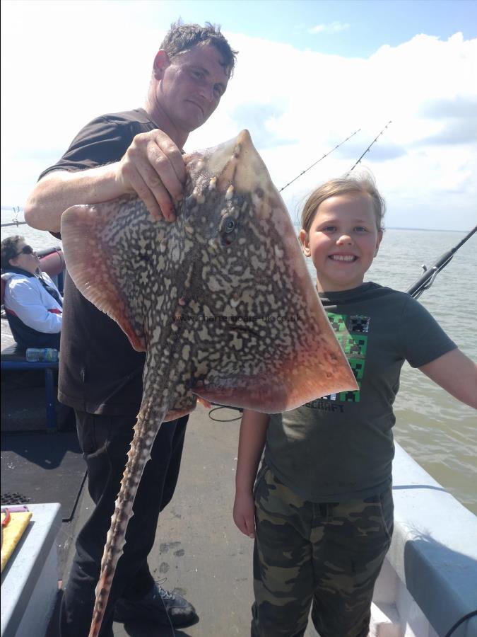 6 lb Thornback Ray by Sean from Essex