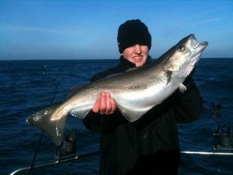 12 lb Pollock by Sam Hope