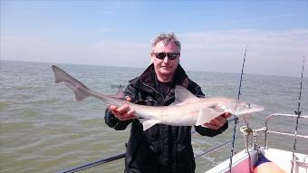 6 lb Smooth-hound (Common) by Bob Marshall