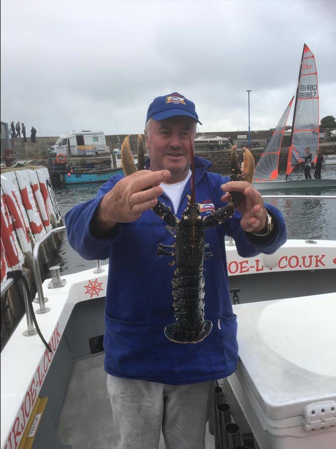 2 lb 6 oz Lobster by Unknown