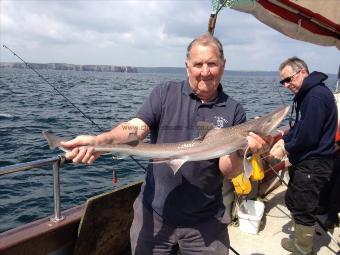 6 lb Starry Smooth-hound by Barry