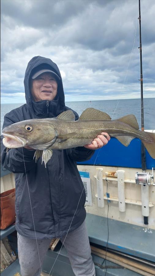 7 lb 4 oz Cod by Unknown