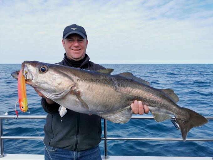 14 lb 8 oz Pollock by Mark Perry- Norton