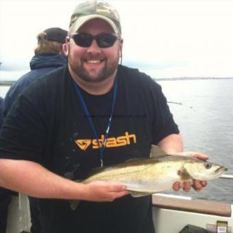 5 lb 8 oz Pollock by Mike Erskine