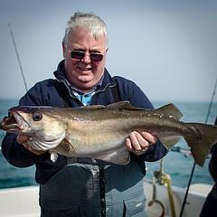 10 lb Pollock by Roy Shipwey