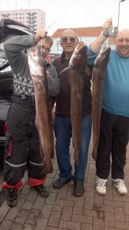 17 lb 8 oz Ling (Common) by bob ralph and craig