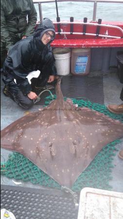 166 lb Common Skate by niels