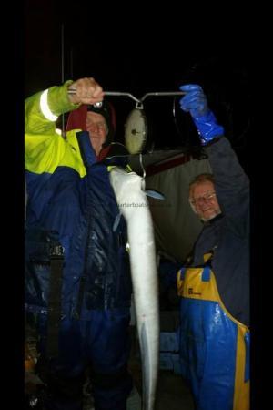 17 lb Conger Eel by Barry