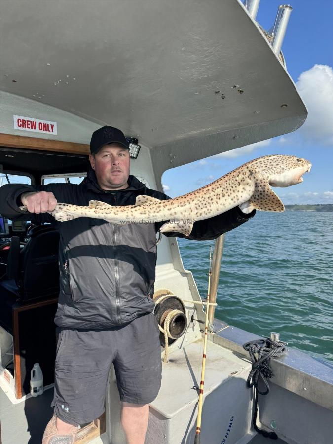 13 lb Bull Huss by Unknown