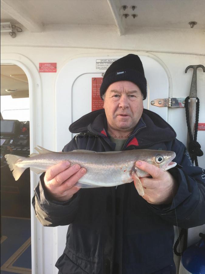 1 lb 14 oz Whiting by Keith