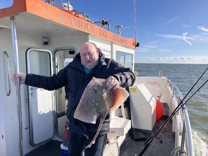 5 lb Thornback Ray by Unknown