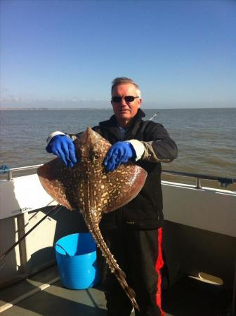 11 lb Thornback Ray by Keith