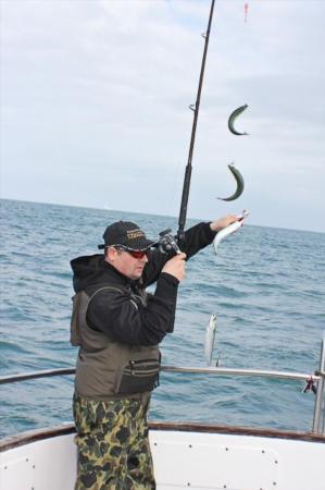 8 oz Mackerel by Gary