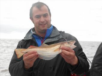 2 lb Whiting by Darren