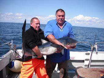 62 lb 7 oz Blue Shark by Unknown