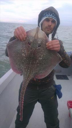 7 lb 3 oz Thornback Ray by gary