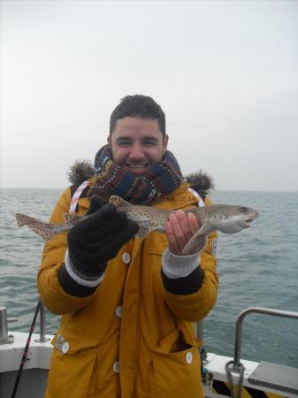 2 lb Lesser Spotted Dogfish by Adam