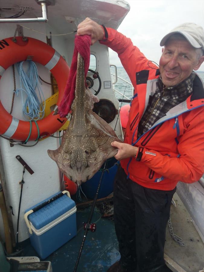 10 lb Undulate Ray by Unknown