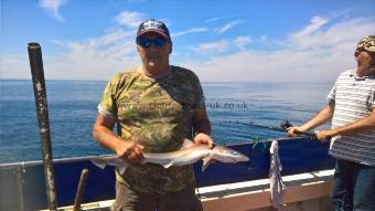 4 lb Smooth-hound (Common) by Stephen Wake