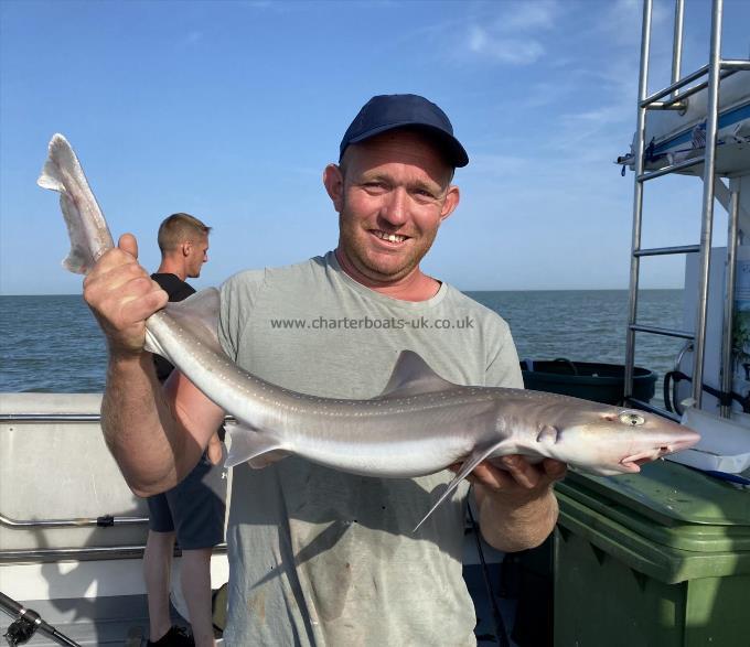 6 lb Smooth-hound (Common) by Unknown