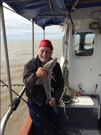 5 lb 7 oz Smooth-hound (Common) by Mick