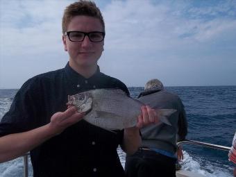 1 lb 8 oz Black Sea Bream by Unknown