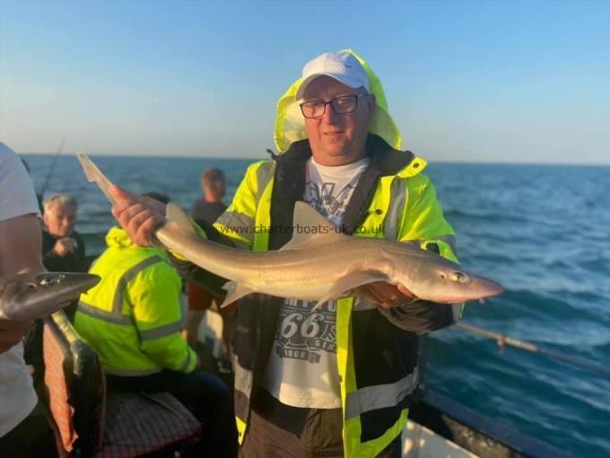 7 lb Smooth-hound (Common) by Unknown