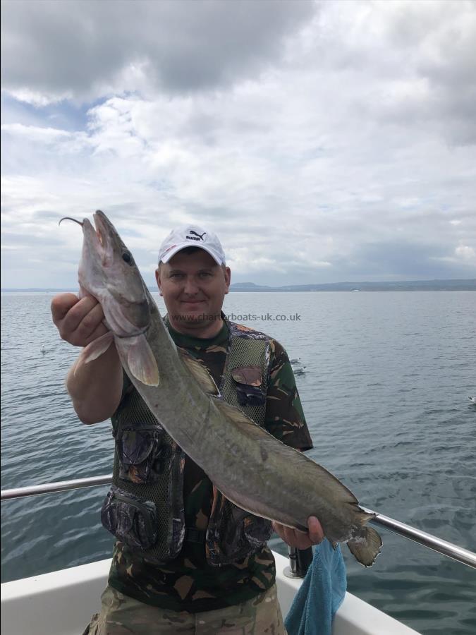 4 lb 8 oz Ling by Andrew Perchala - 4lb 8oz Ling