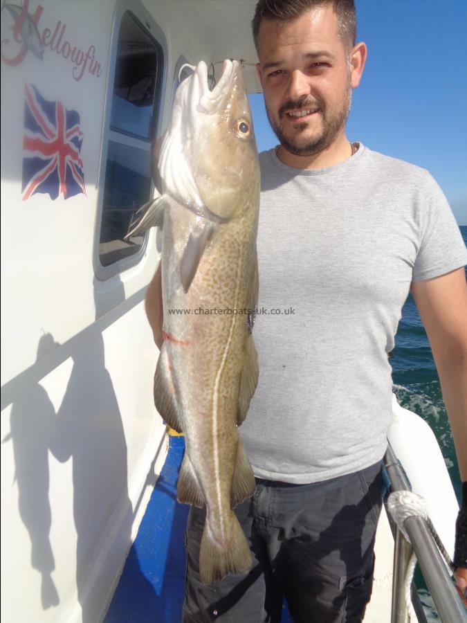 5 lb Cod by Unknown