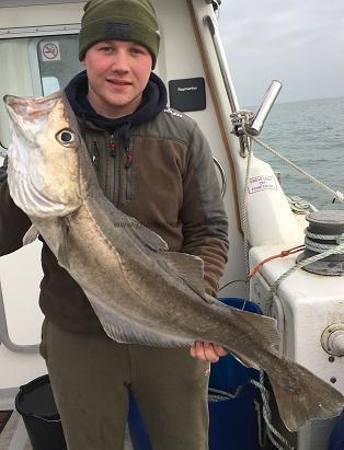 14 lb Pollock by Jack Sillence