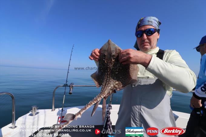 5 lb Thornback Ray by Pete