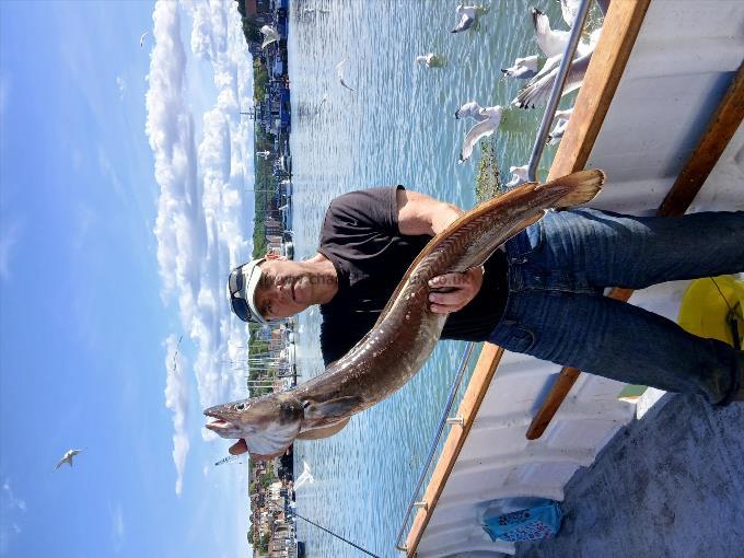 10 lb 8 oz Ling by Mark